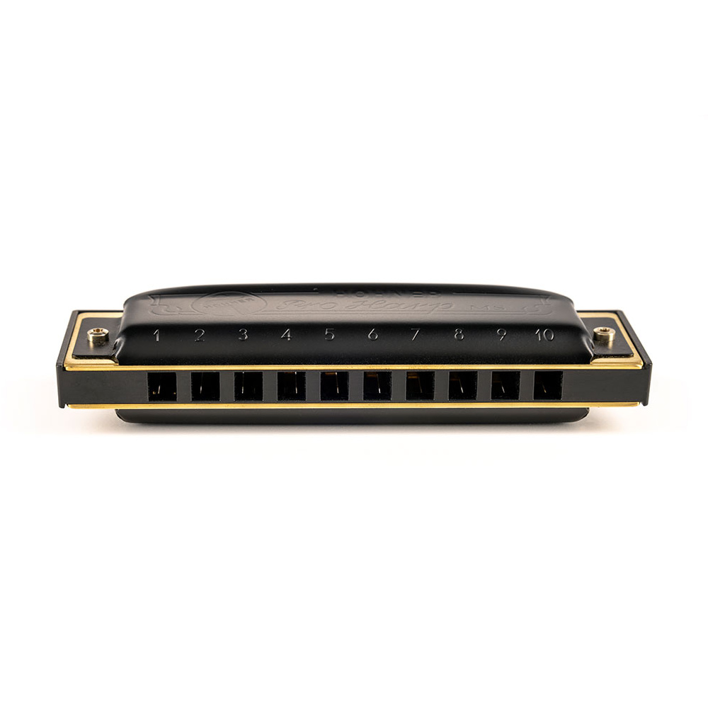 HOHNER ホーナー Pro Harp 562/20P A 10ホールハーモニカ ブルースハープ フロント画像