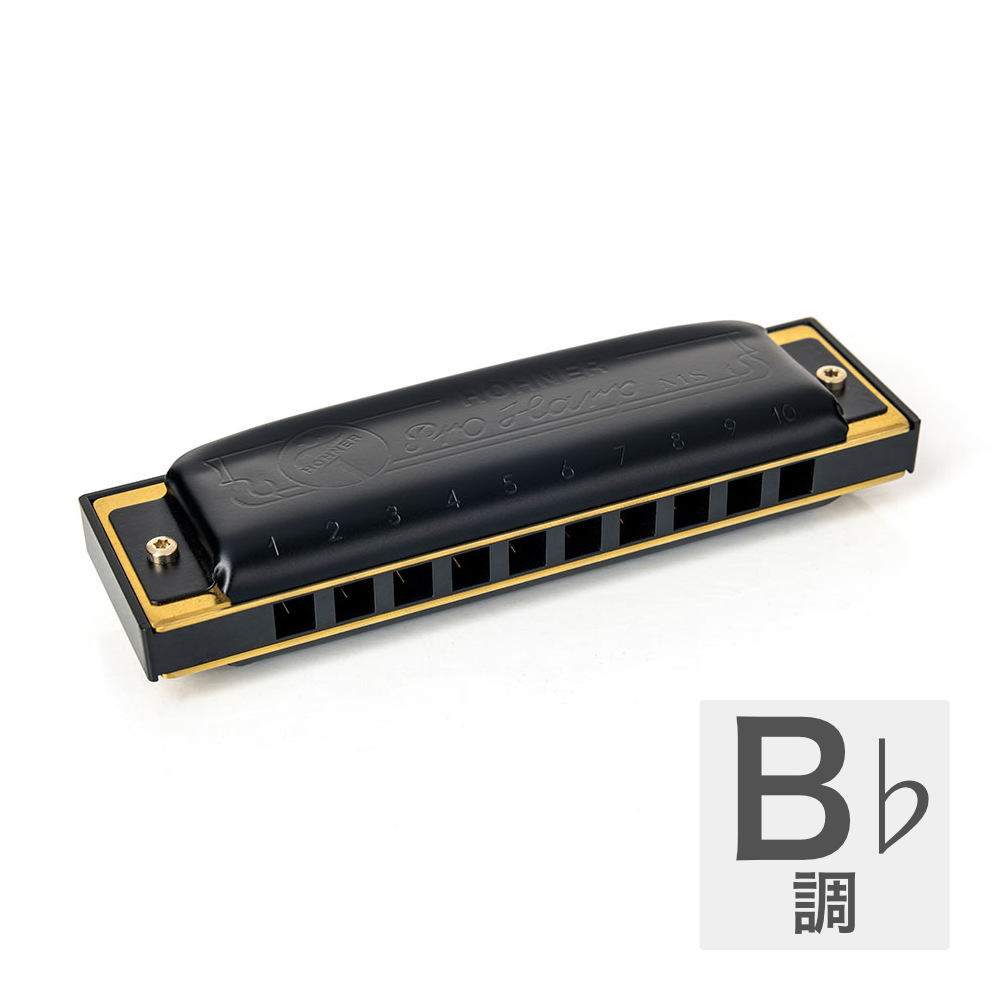 HOHNER ホーナー Pro Harp 562/20P B♭ 10ホールハーモニカ ブルースハープ