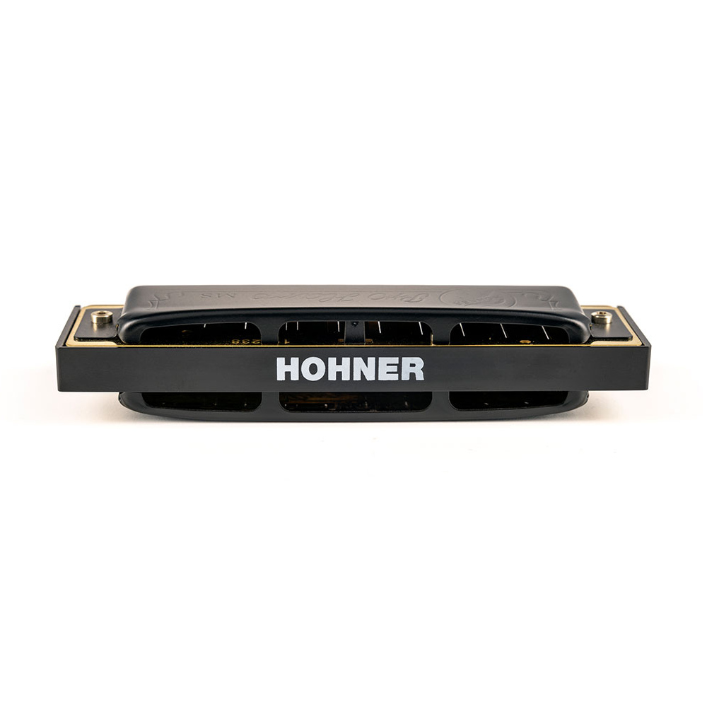 HOHNER ホーナー Pro Harp 562/20P F# 10ホールハーモニカ ブルースハープ リア画像