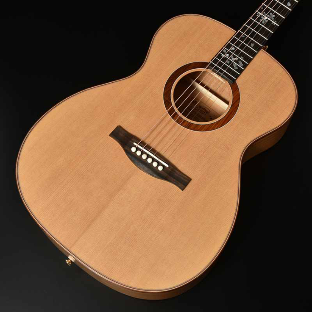 HEADWAY ヘッドウェイ Japan Tune-up Series HF-KOBOREZAKURA NA アコースティックギター ボディ部