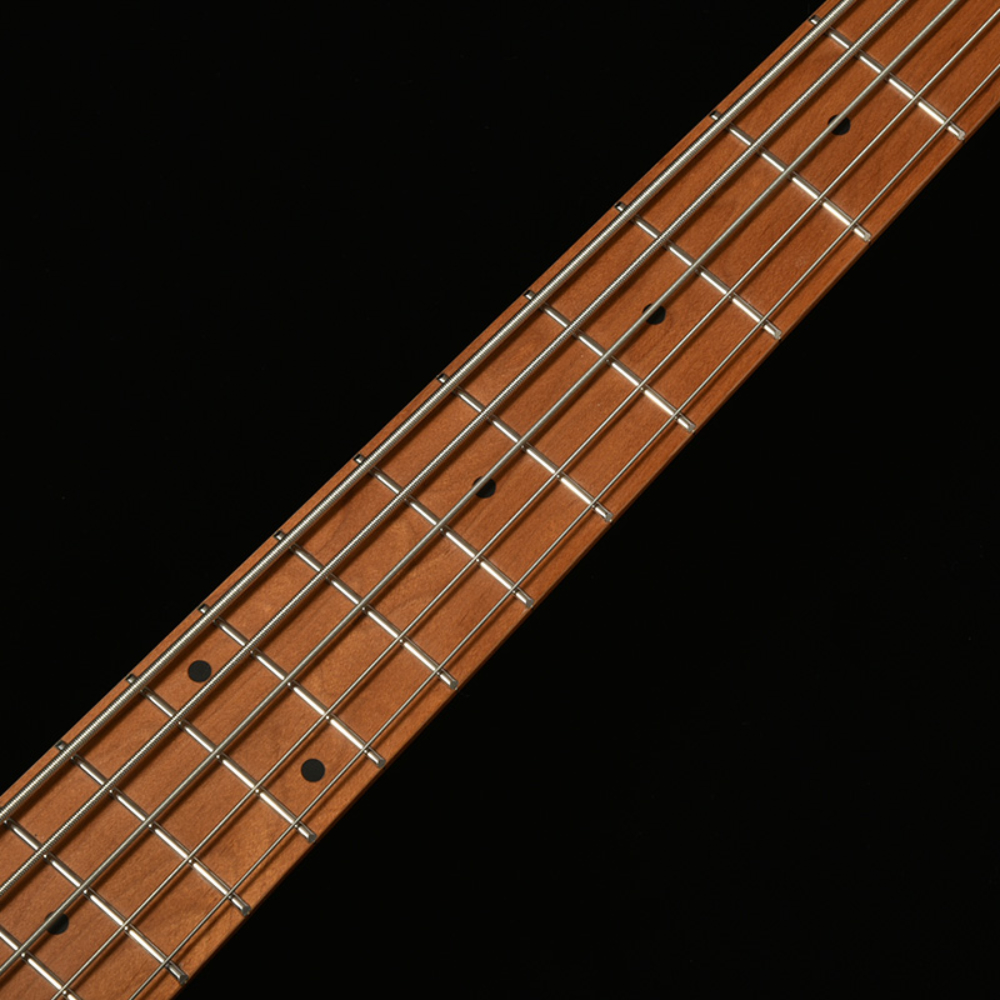 BACCHUS バッカス Universe Series WJB5-1DX-AC RSM/M 3TS 5弦ベース エレキベース ネック部