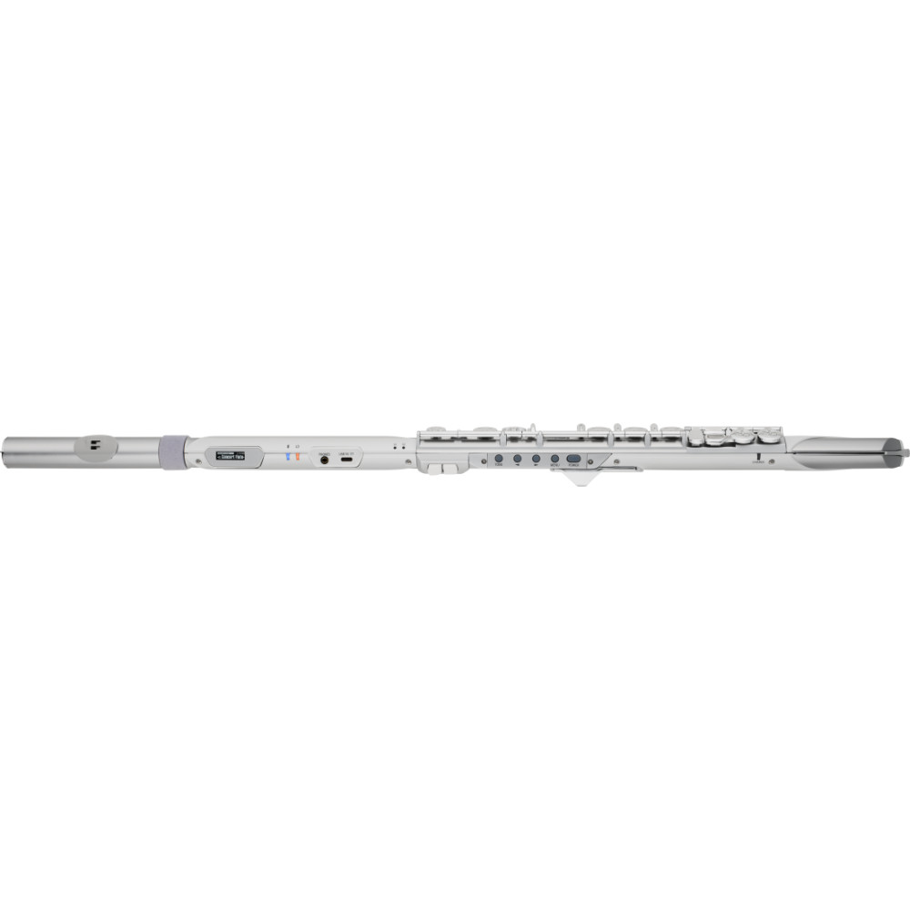 フルート型電子管楽器 ROLAND AE-BRISA Aerophone Brisa DIGITAL WIND INSTRUMENT ローランド エアロフォン ブリサ サイド