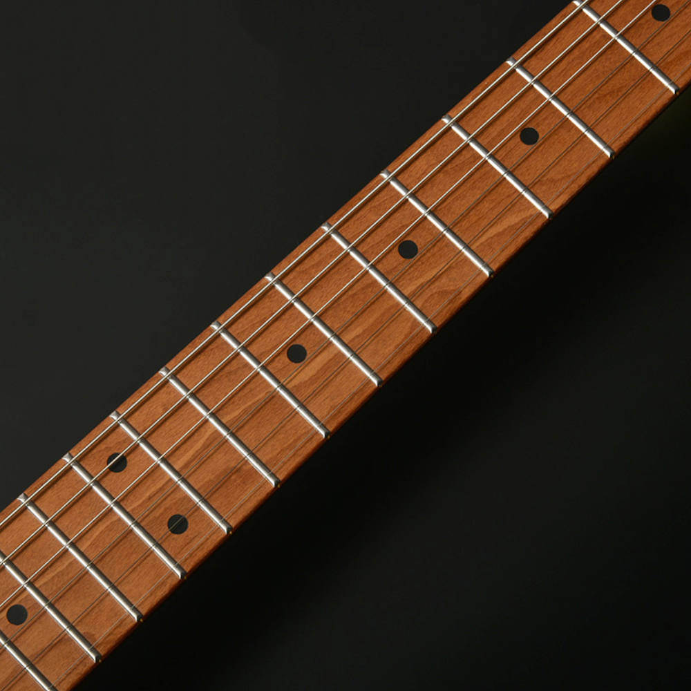 BACCHUS バッカス Universe Series BMS-1-RSM/M-TTPG BLK エレキギター ネック