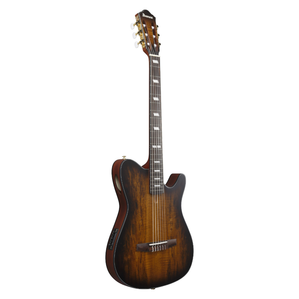 IBANEZ アイバニーズ FRH20SMN-TCL ナイロンエレクトリックギター エレガットギター 斜めアングル画像