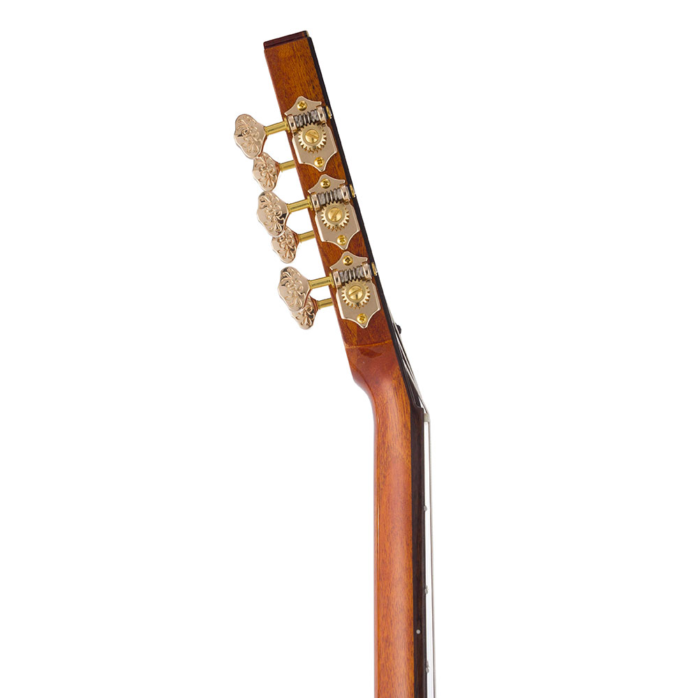 Bromo Guitars ブロモギターズ BEN2C エレクトリックナイロンギター ヘッド