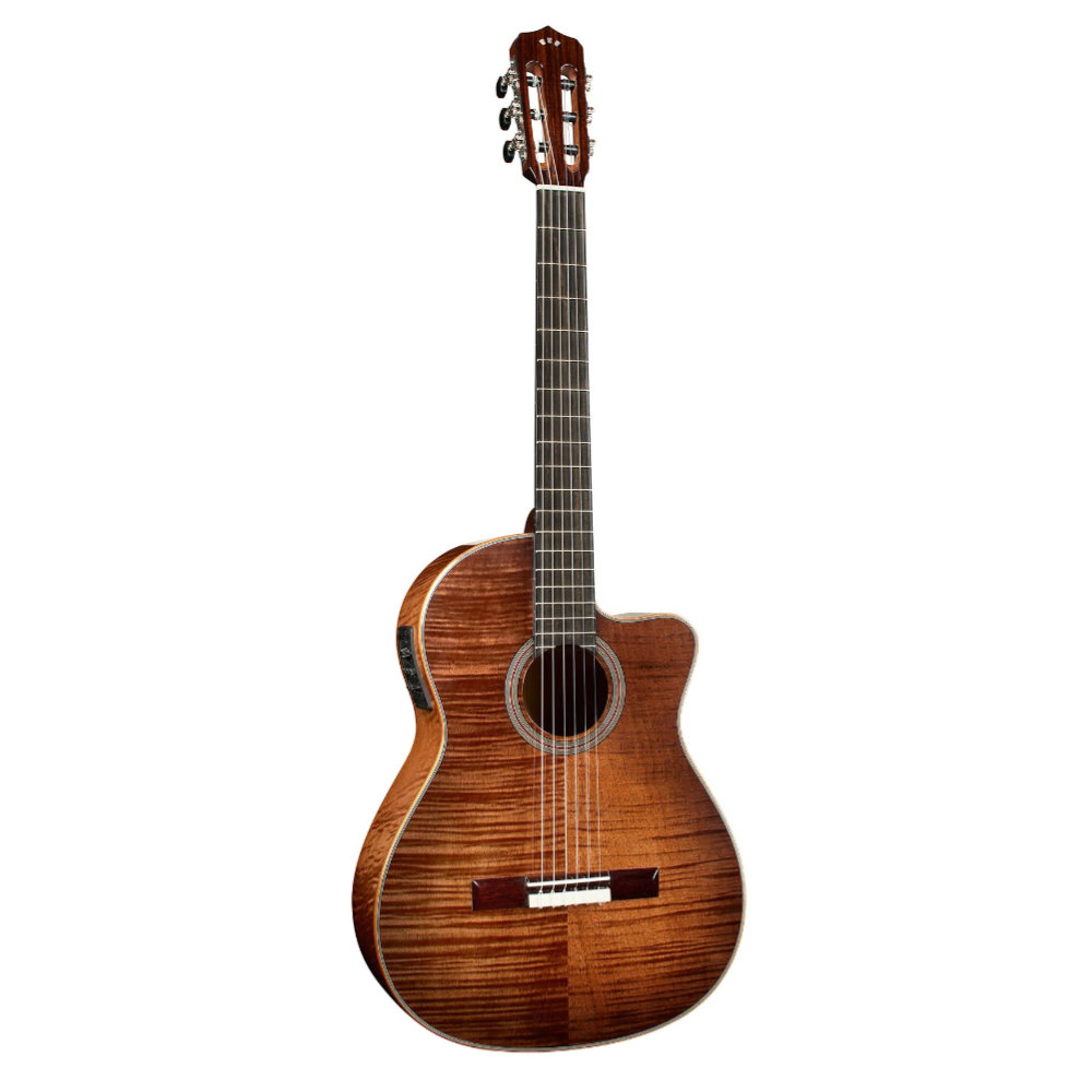 Cordoba コルドバ Fusion 12 Cinnamon Burst シナモン・バースト エレクトリック クラシックギター 正面