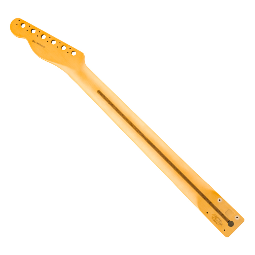 Fender フェンダー American Professional Classic Telecaster Neck 22 Medium Jumbo Frets 9.5' Radius Rosewood テレキャスター ギターネック バック画像