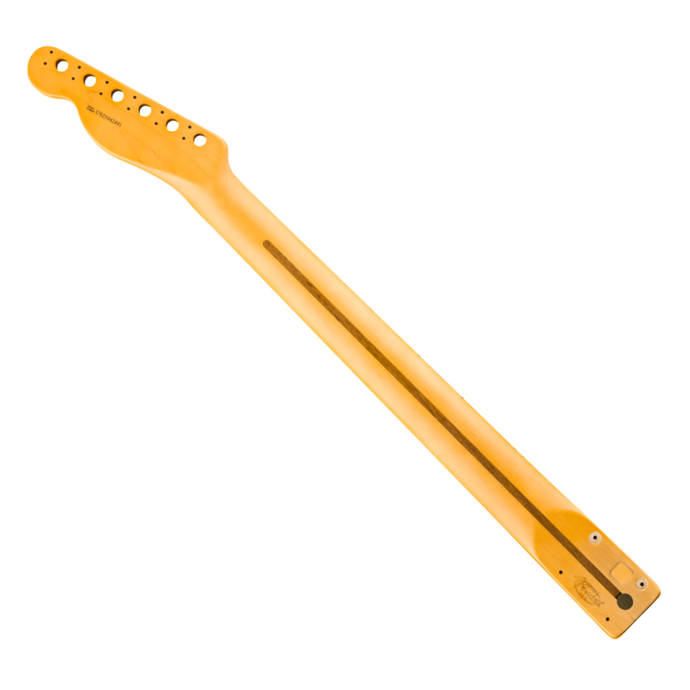 Fender フェンダー American Professional Classic Telecaster Neck 22 Medium Jumbo Frets 9.5' Radius Maple テレキャスター ギターネック バック画像