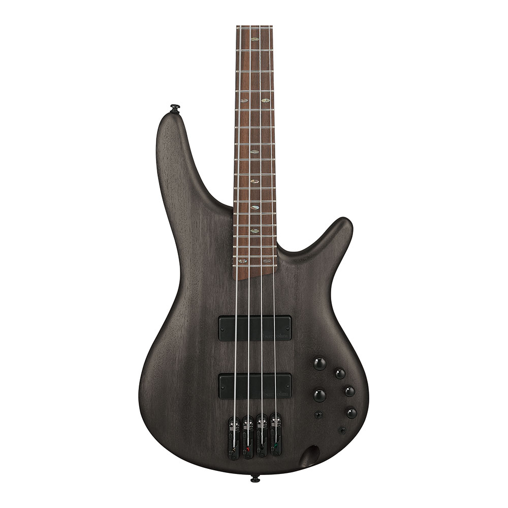IBANEZ アイバニーズ SR500A-TGF エレキベース ボディトップ