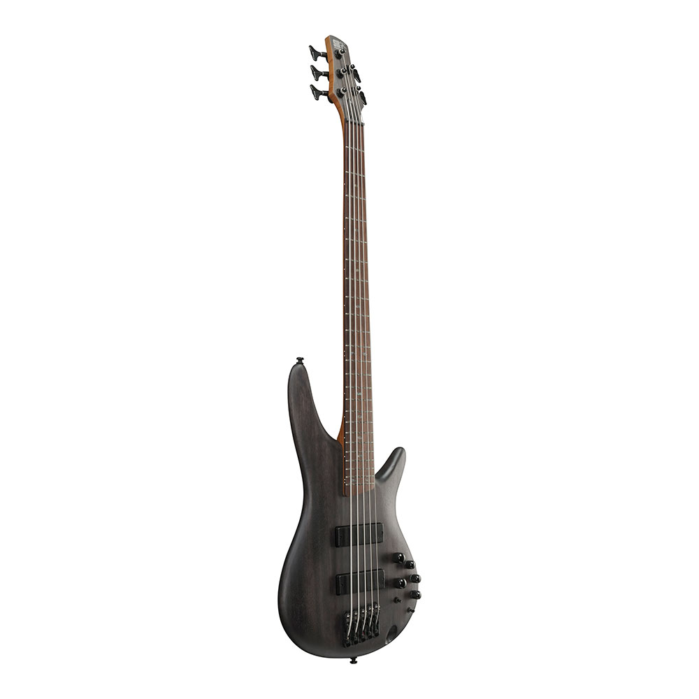 IBANEZ アイバニーズ SR505A-TGF 5弦エレキベース 全体