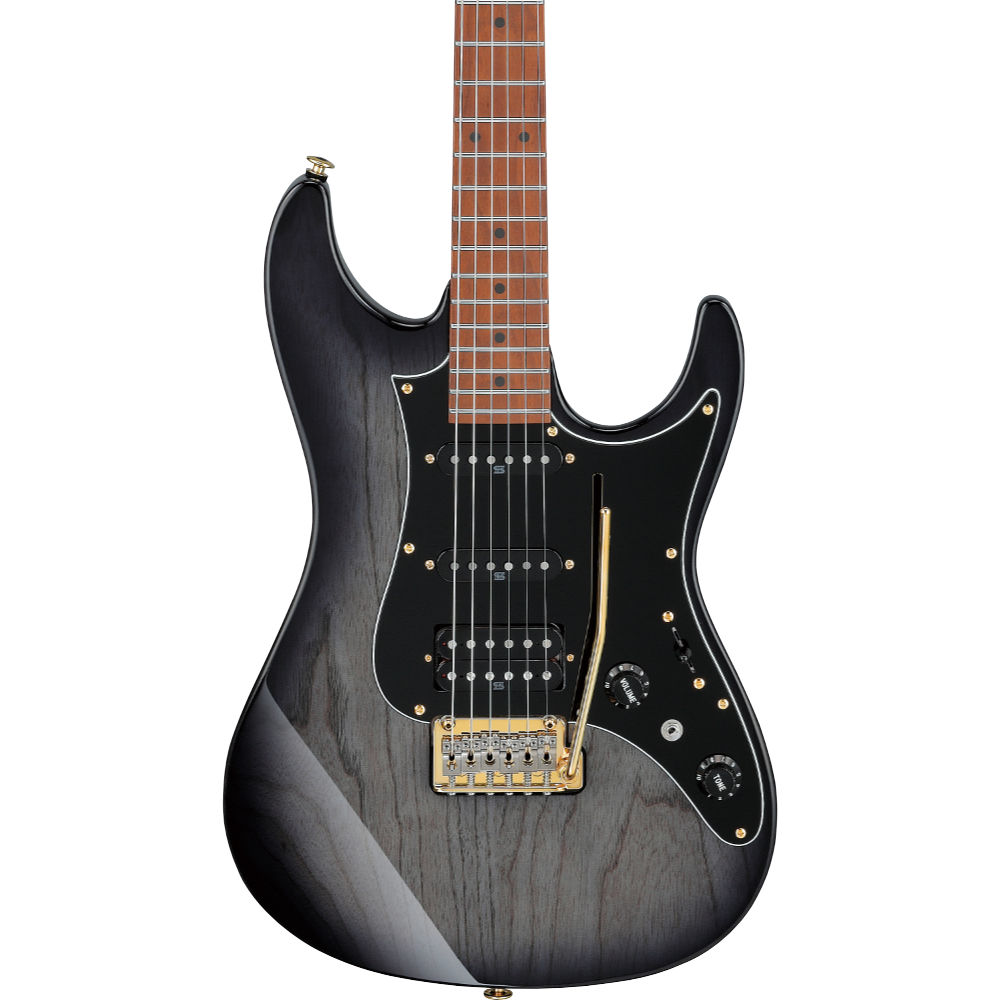 IBANEZ アイバニーズ AZ Prestige AZ2204AG-TGB エレキギター ボディトップ