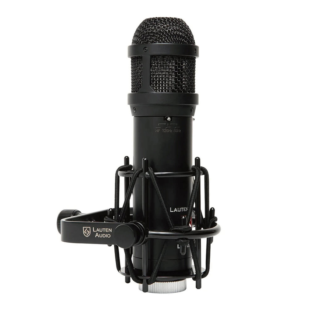 LAUTEN AUDIO ローテンオーディオ LS-208 コンデンサーマイク 側面