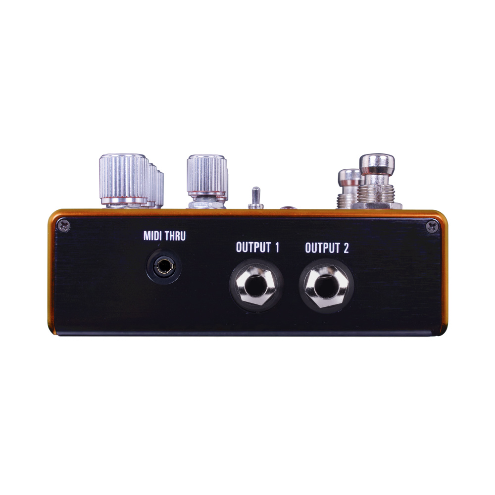 Source Audio ソースオーディオ SA281 PATHWAYS Reverb + Tremolo 側面