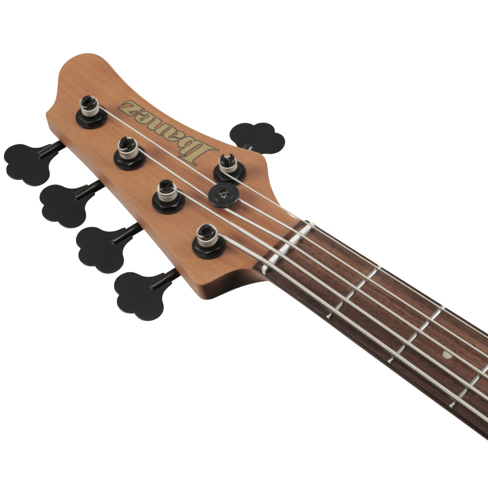 IBANEZ アイバニーズ MDM1005-MAM Mode Series Midnight Arctic Ocean Matte 5弦エレキベース ヘッド画像