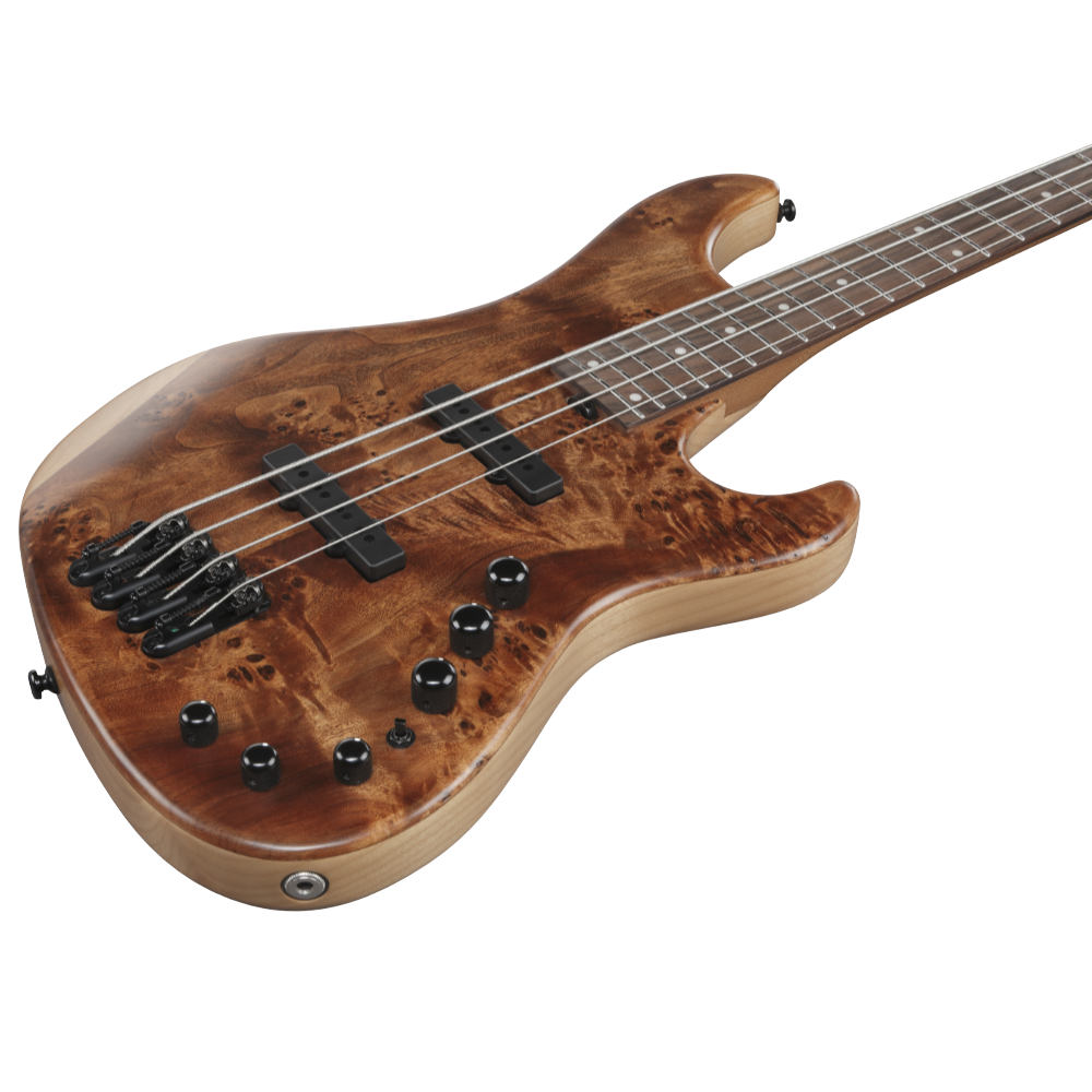 IBANEZ アイバニーズ MDM1600-NML Mode Series Natural Mocha Low Gloss エレキベース ボディ斜めアングル画像