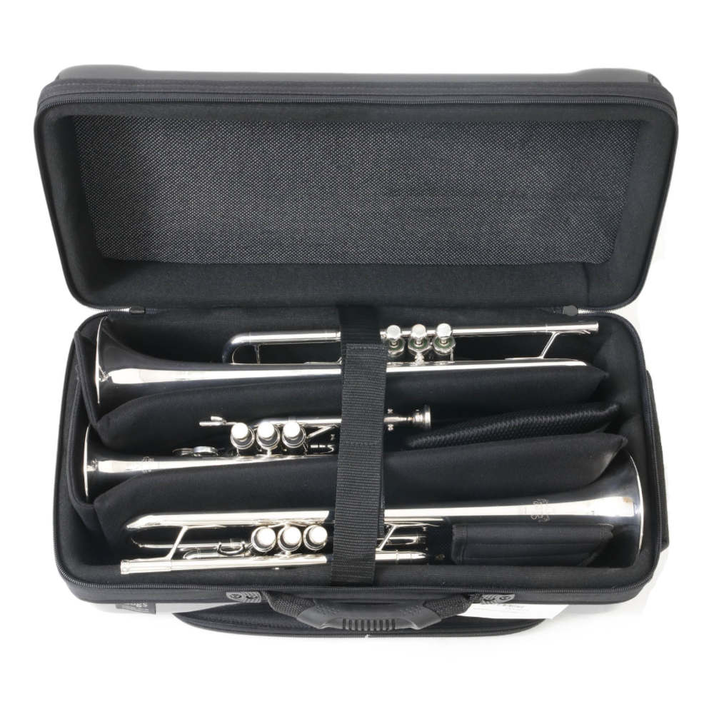 bags バッグス EC3TRM WHT マルチトランペットケース 管楽器ケース 使用例画像5