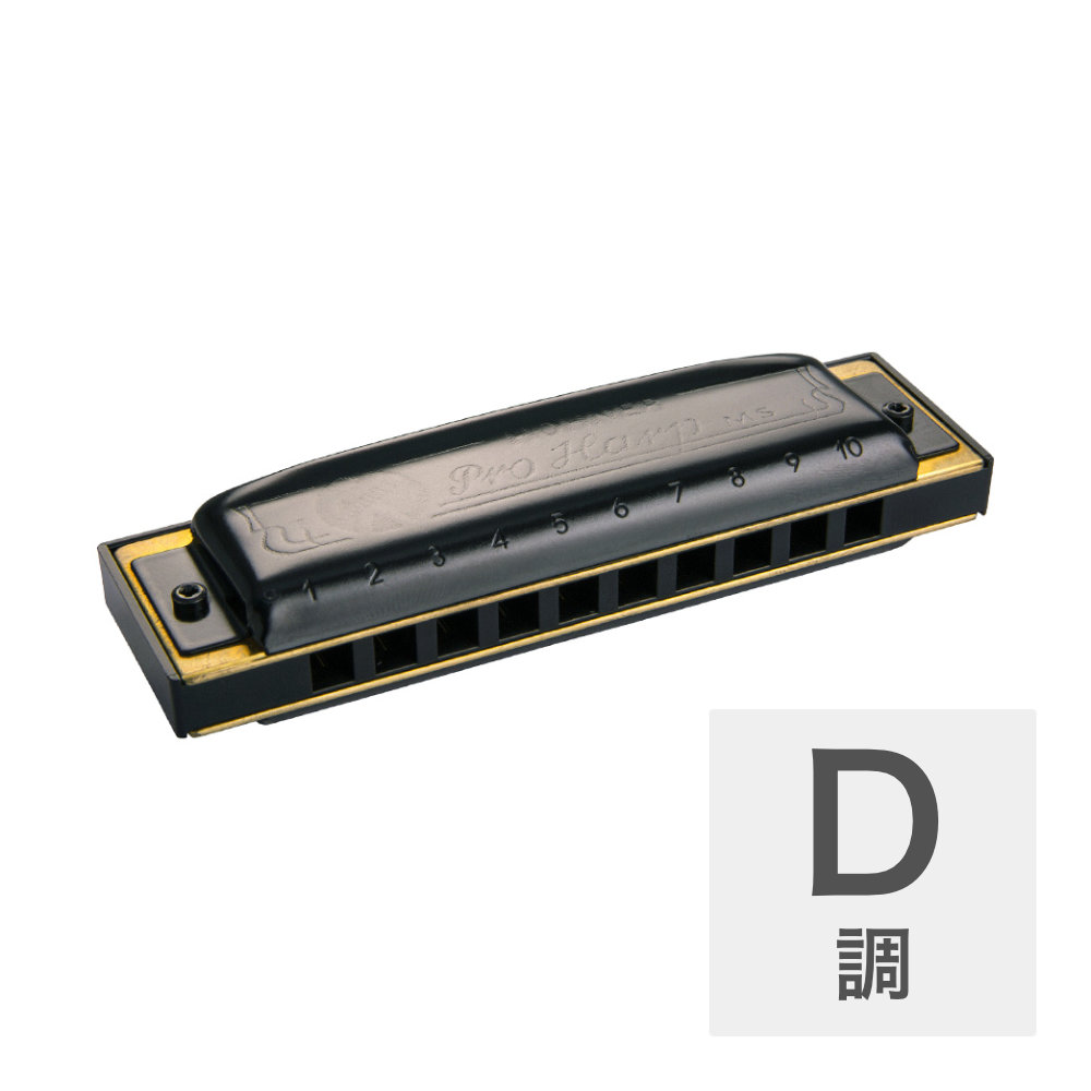 HOHNER Pro Harp MS X 562/20MSX D 10ホールハーモニカ