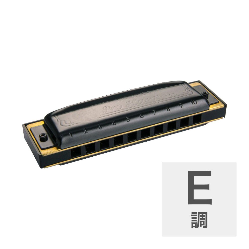 HOHNER Pro Harp MS X 562/20MSX E 10ホールハーモニカ
