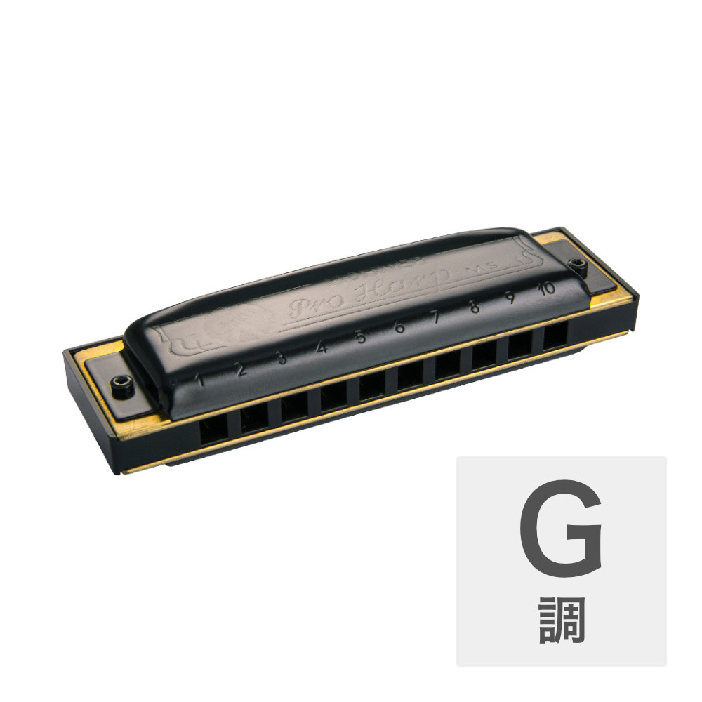 HOHNER Pro Harp MS X 562/20MSX G 10ホールハーモニカ