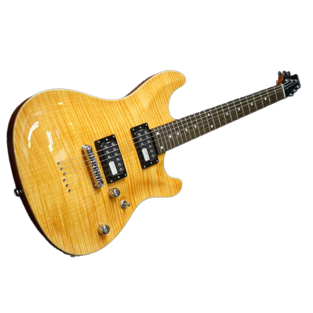 SCHECTER RJ-1-24-TOM AMB エレキギター
