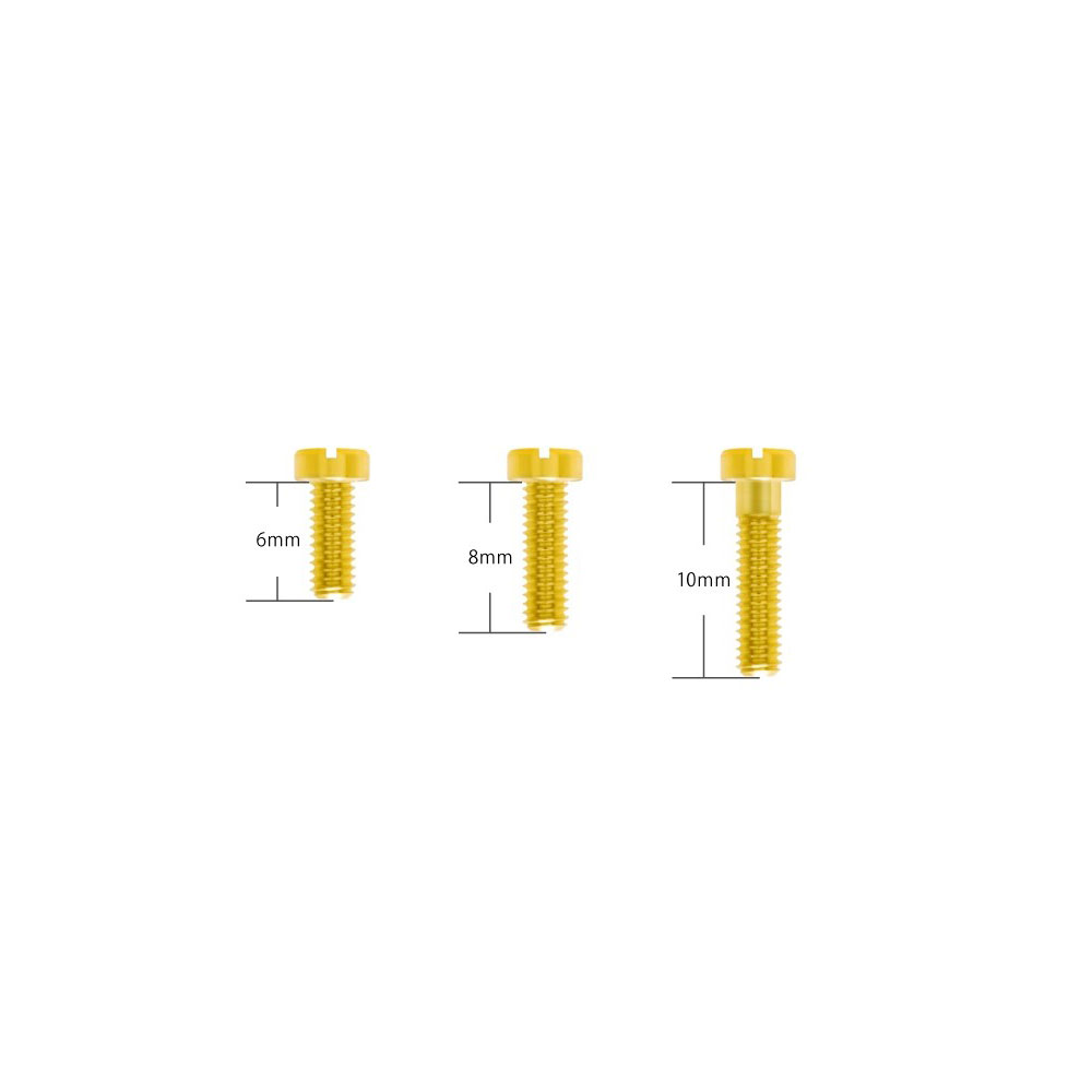 真鍮24K金メッキネジ::M2.6 × 6/8/10mm 各2本入り