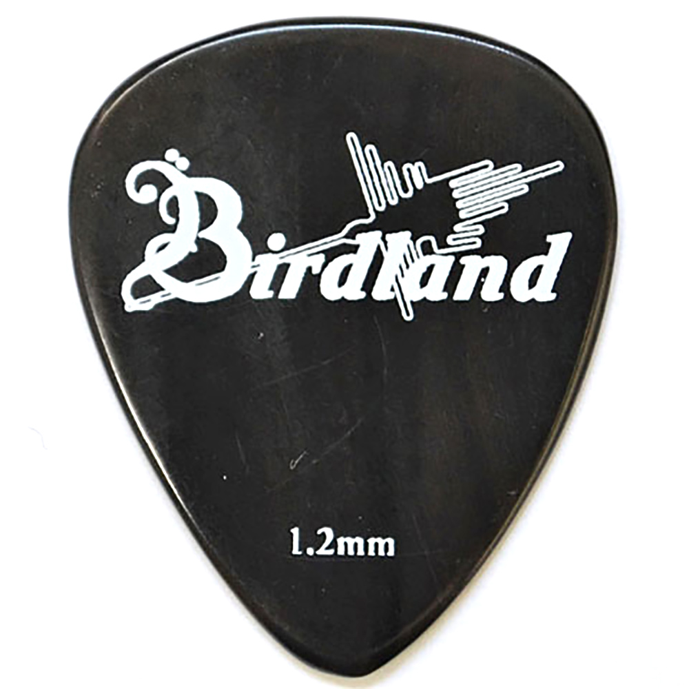 Birdland Buffalo Horn Flat Pick 1.2mm ギターピック×2枚