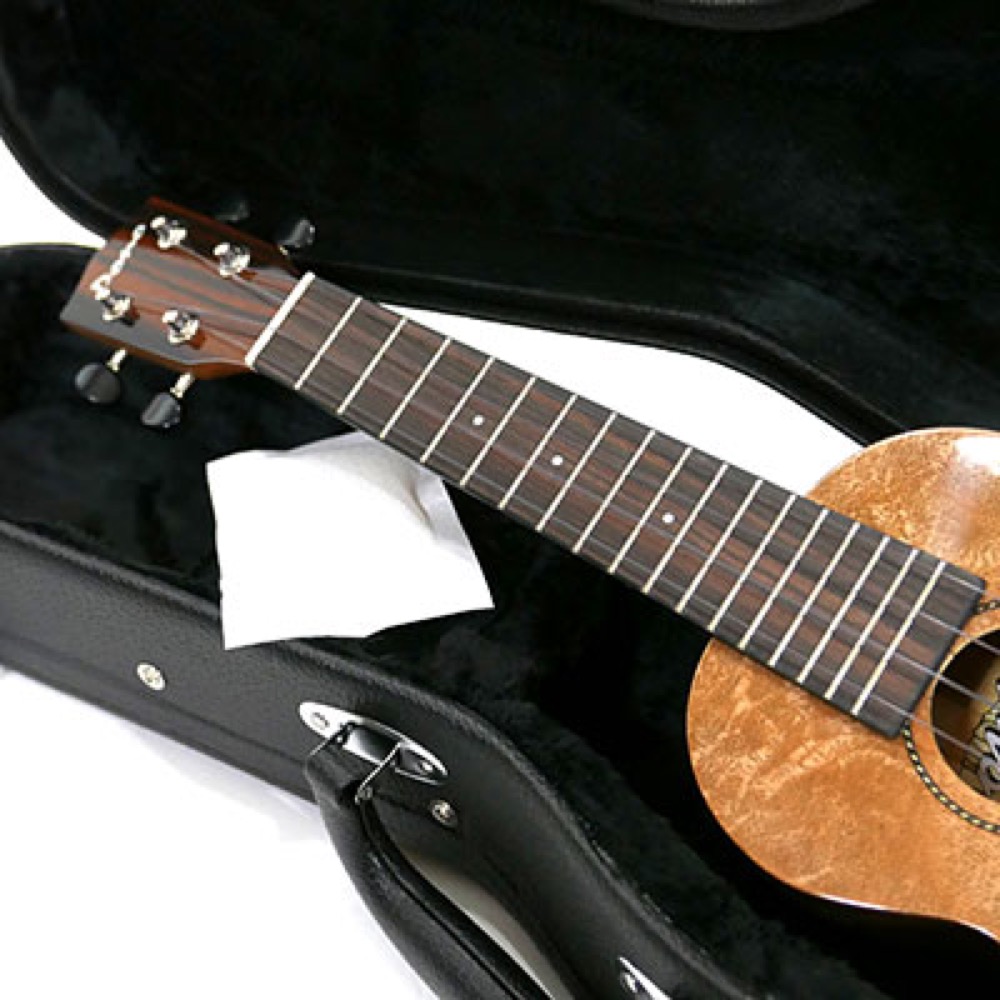ORCAS DRY CONDITION UK ウクレレ用 湿度調整剤×2個 ORCAS DRY CONDITION UKULELE