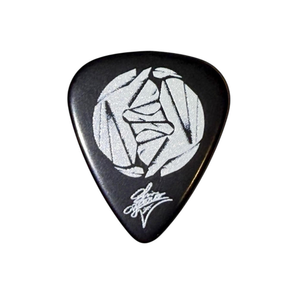 MASTER 8 JAPAN マスターエイトジャパン GGVSHIN2-095 go!go!vanillas 柳沢進太郎 Signature Model (2nd) 0.95mm ギターピック×30枚 裏